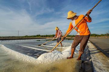 Bersiap, Kawasan Sentra Industri Garam Nasional Bakal Dibangun