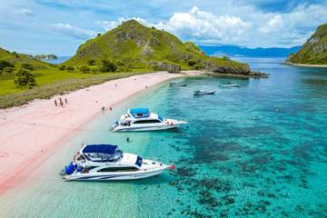 Hari Pariwisata Sedunia, Wisata Bangkit, Dunia Bergerak