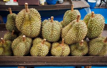 Tips Memilih Durian Matang