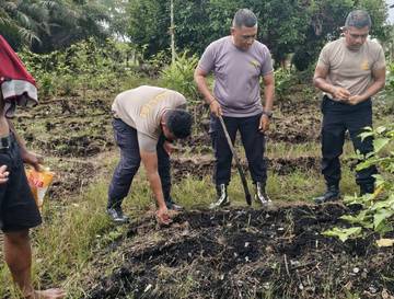 Perkuat Ketahanan Pangan Lokal, Polsek Sabangau Tanam Jagung