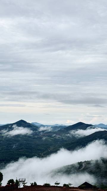 Mindfulness Jadi Kunci Hidup Lebih Tenang