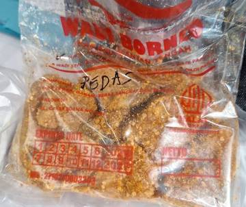 Inovasi Wadi Patin Menarik Minat Generasi Muda Kalteng