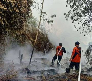 ‎Hujan Guyur Kotim Belum Mampu Padamkan Karhutla