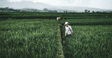 Satu Rumah Satu Sarjana  Mendukung Program Cetak Sawah 