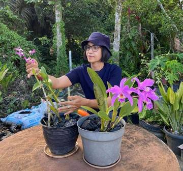 Berbagi Cerita dengan Alam Lewat Hobi Menanam Anggrek