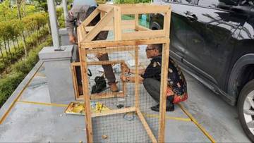 Terobosan Baru, DLH Olah Keranjang Sampah Plastik