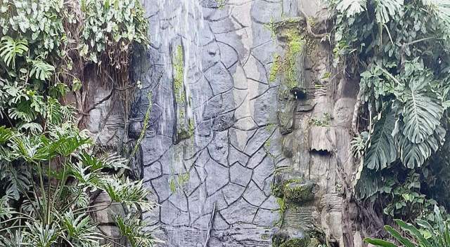 Mengenal Hari Bumi Sedunia dan Dampak Buruk Lingkungan