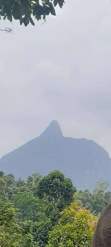 Bukit Serelo Destinasi Alam yang Unik 
