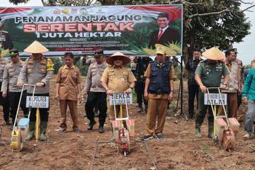 Secara Serentak, Polres Lubuk Linggau Tanam Jagung Nasional