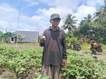 Pak Nyaman dan Harapan Pupuk untuk Ketahanan Pangan