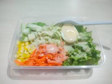 Salad, Hidangan Lezat yang Menyehatkan