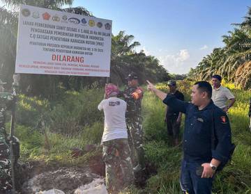 Kejari Banyuasin Tertibkan Sawit Ilegal di Hutan Negara
