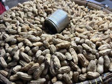 Cuma Kacang Rebus, Tapi Bikin Rindu