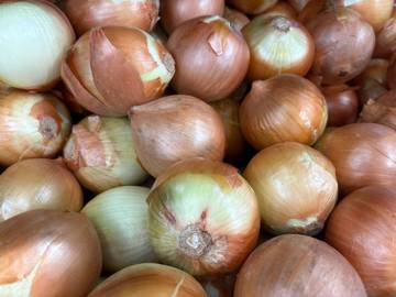 Bawang Bombay Kaya Manfaat Bagi Kesehatan