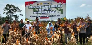Polres Musi Rawas Gelar Panen Raya Jagung Serentak