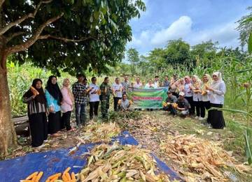 Polsek Tanjung Raja dan Pemdes Panen Jagung