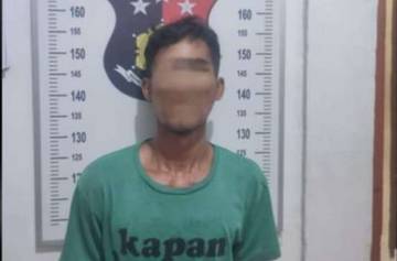 Polsek Tanjung Lago Tangkap Pencuri Sawit Milik Perusahaan