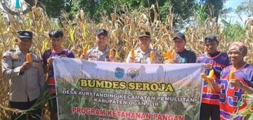 Polsek Pemulutan Dukung Ketahanan Pangan Lewat Panen Jagung
