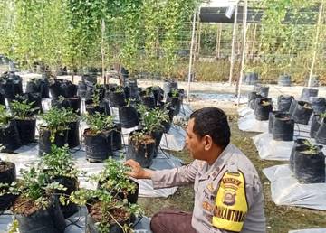 Polsek Talang Kelapa Gencarkan Program Pangan Keluarga