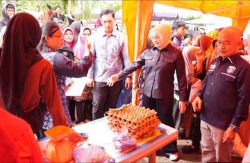 Wabup Banyuasin Tinjau GPM di Talang Kelapa