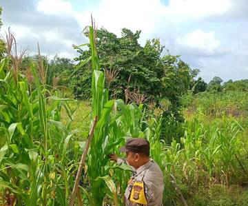 Bhabinkamtibmas Ajak Warga Sidomulyo Dukung Swasembada Pangan