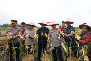 Polda Sumsel Dorong Swasembada Lewat Panen Jagung
