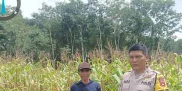 Polsek Air Kumbang Ajak Warga Tanam Pangan Sendiri