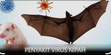 Waspada Virus Nipah, Kenali dan Antisipasi!