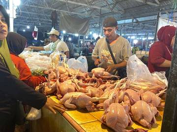 Harga Ayam Potong Stabil di Pasar Jakabaring Palembang