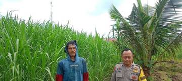 Polsek Air Kumbang Dorong Pekarangan Pangan Bergizi
