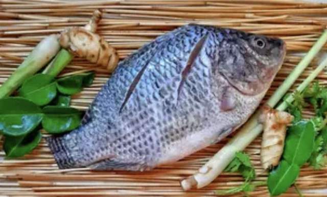 Cara Cegah Bau Amis pada Ikan Nila