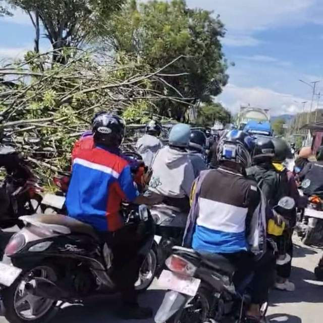 Pohon Tumbang, Arus lalulintas Mengalami Hambatan