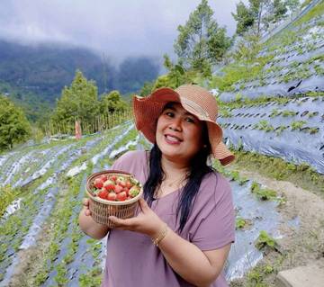 Wisata Petik Stroberi jadi Primadona Baru