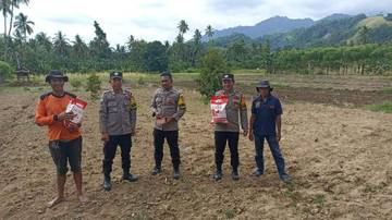 Dukung Ketahanan Pangan, Polisi Tanam Jagung Serentak 