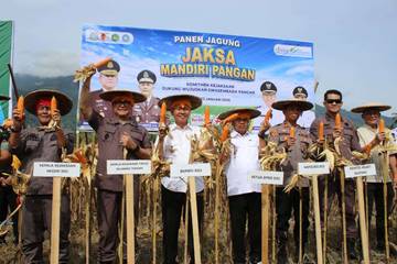 Kejati Sulteng dan Pemda Sigi Gelar Panen Jagung