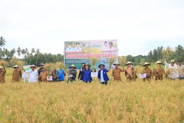 Realisasi Cetak Sawah Rakyat Donggala Capai 80 Hektare