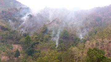 Puluhan Hektar Lahan Desa Avolua Parimo Sulteng Terbakar