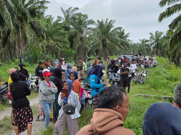 Aksi Panen Ilegal Ricuh, Security Sawit Jadi Korban