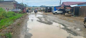 Komnas HAM Sulteng Dorong Perbaikan Jalan Desa Bungintimbe