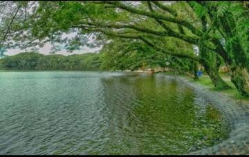 Danau Raja Rengat Destinasi Wisata Alam yang Mengagumkan