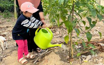 Berkebun Bersama Anak, Keterampilan, Kesehatan, dan Kebahagiaan