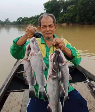 Mancing di Sungai Kampar,  Wisata Alam yang Mengasyikkan