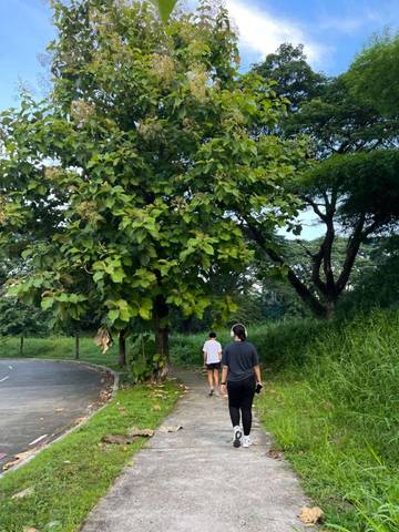 Jalan-Jalan Santai Sore Hari Membawa Pikiran Tenang