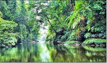 Wisata Taman Nasional Bukit Tiga Puluh