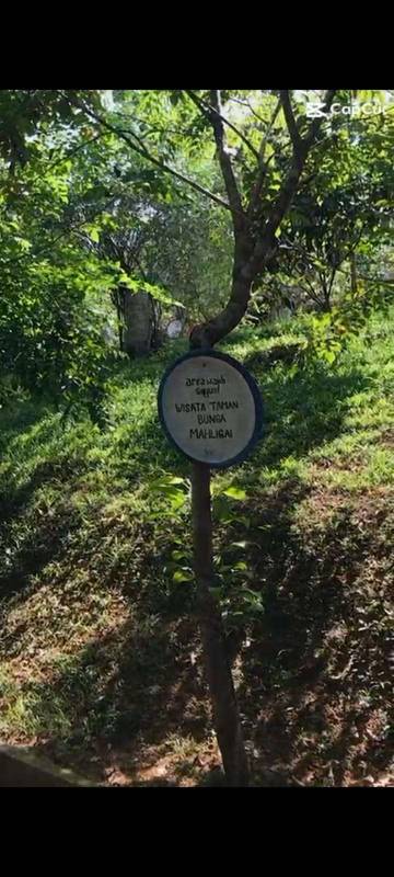 Wisata Taman Bunga Mahligai di Kampar 