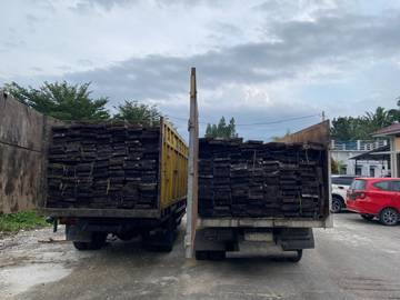 Polisi Gagalkan Pengangkutan Kayu Ilegal Kerumutan 