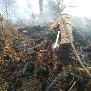 Karhutla Riau Masih Terjadi di Lima Daerah 