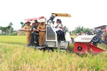 Pemprov Riau Perkuat Swasembada Pangan Nasional