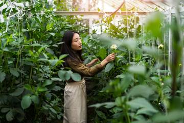Sukses Berkebun, Ikuti Tips Berikut
