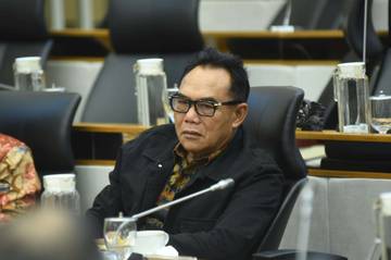Illegal Logging Ancam Hutan Perbatasan Kalbar